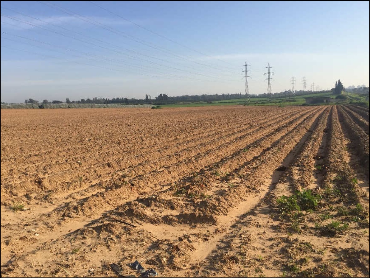 Read more about the article *** נמכר *** הזמנה להציע הצעות לרכישת זכויות במקרקעין, פש"ר 29308-07-17