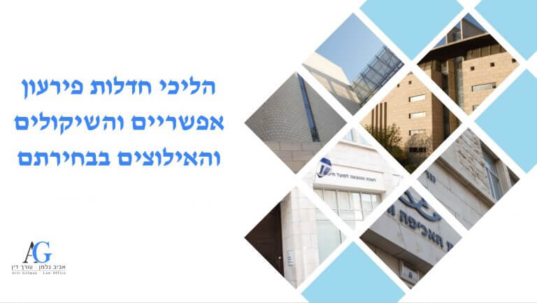 Read more about the article הליכי חדלות פירעון אפשריים והשיקולים והאילוצים בבחירתם